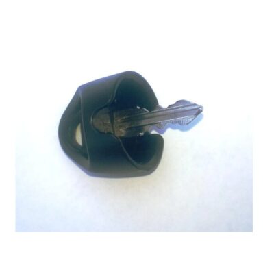 Pair of Ignition Keys for eTravel